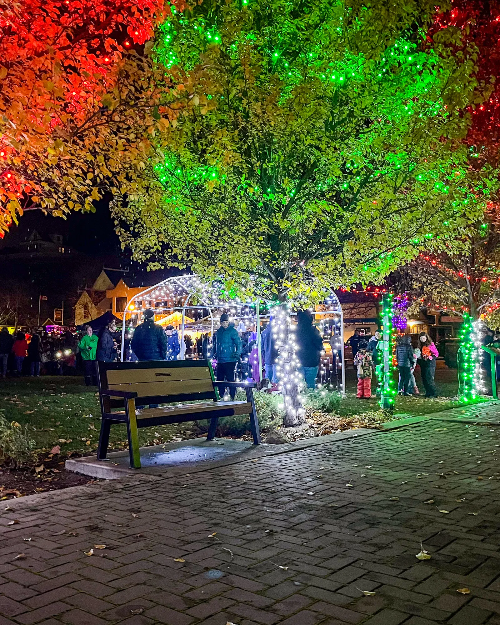 Peachland Christmas Light Up