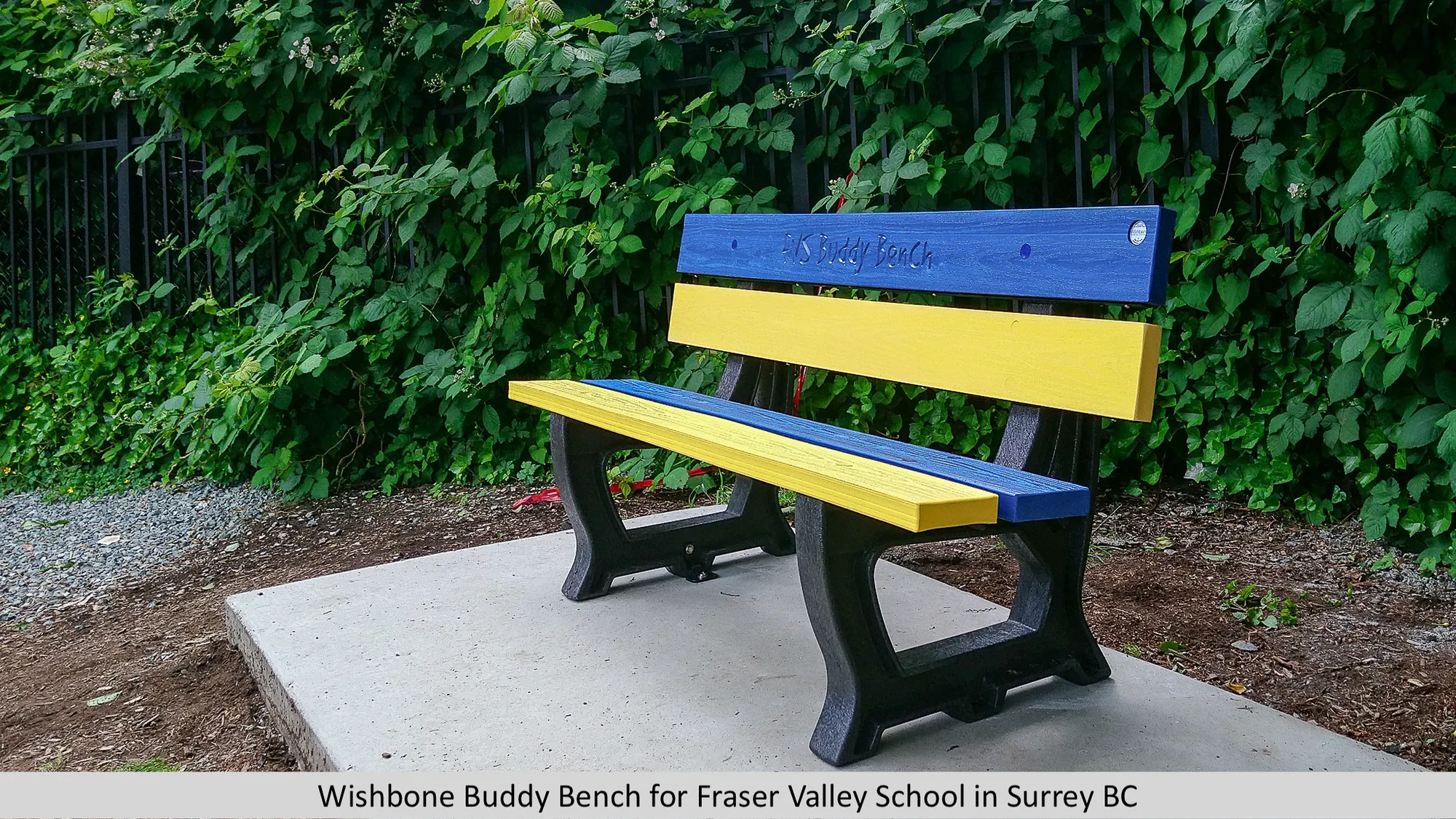 Fraser Valley School Buddy Bench in Surrey