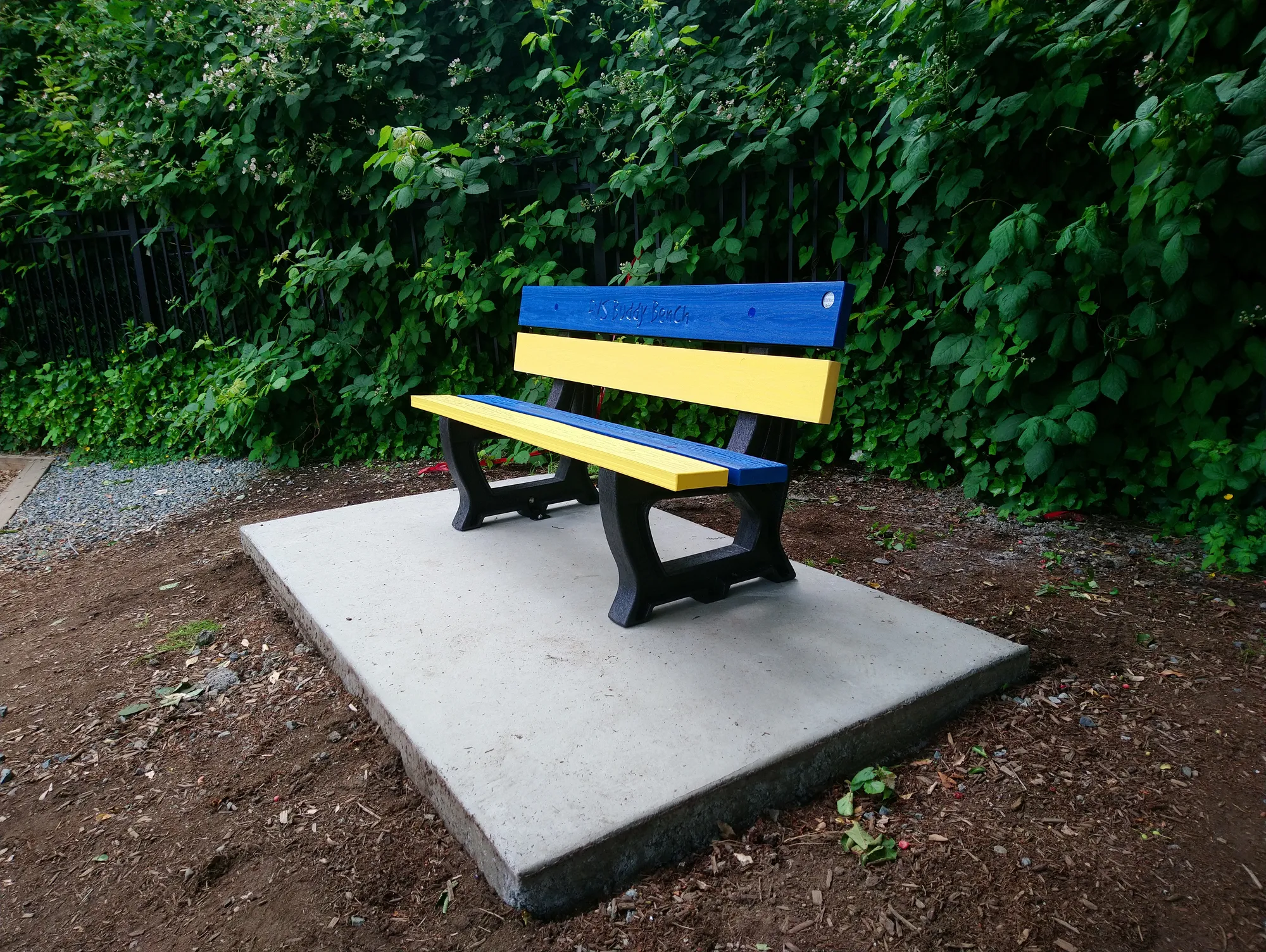 Fraser Valley School Buddy Bench in Surrey