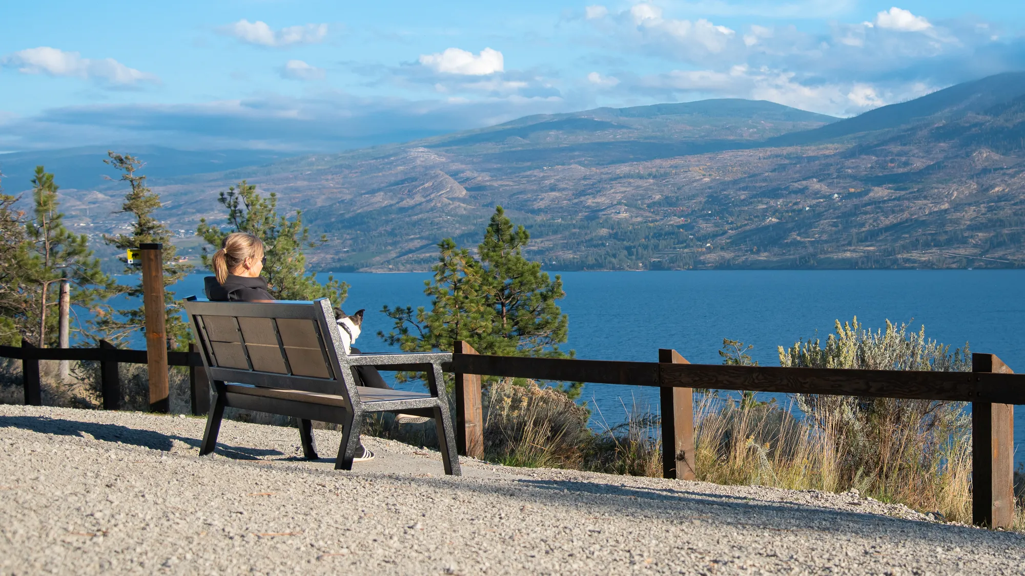 Memorial Bench at Gellatly  Regional Park In West Kelowna BC