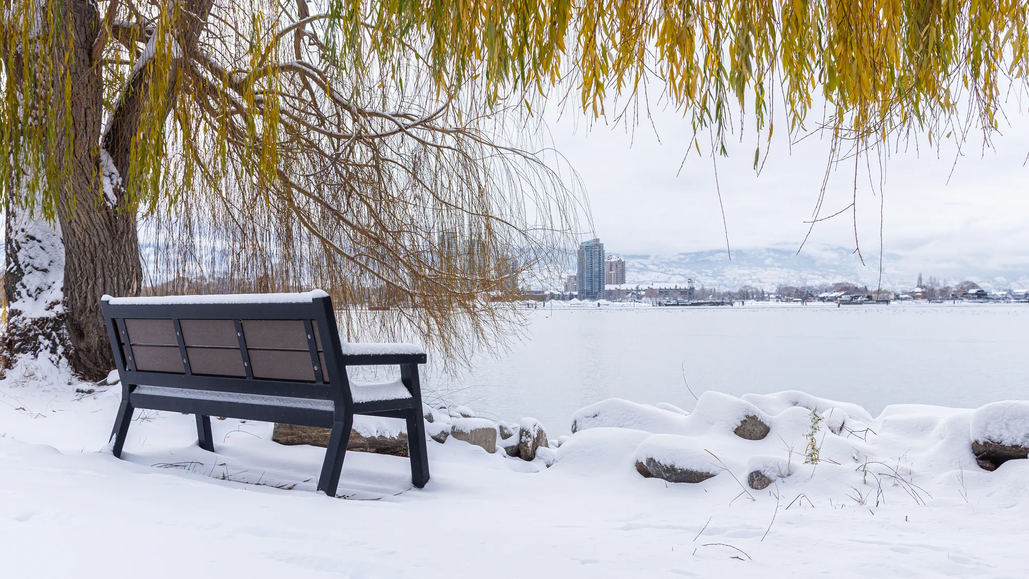 Wishbone Rutherford Memorial Bench in Kelowna BC