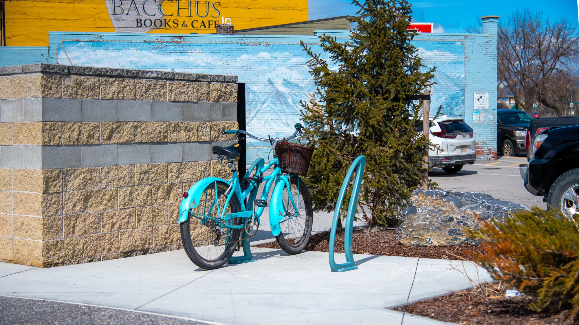 Wishbone Tenaj 2 Space Bike Racks in Golden BC