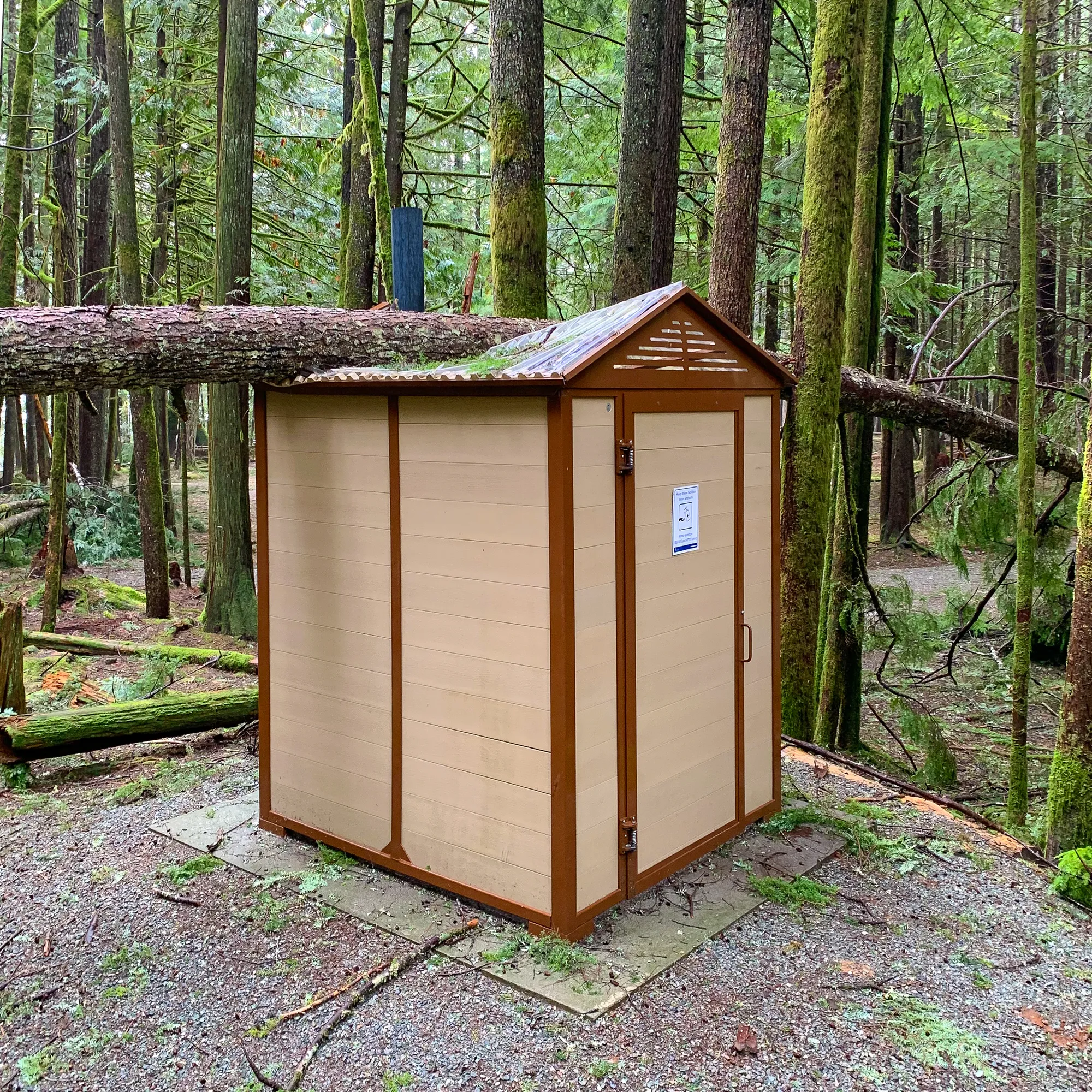 Wishbone John Outhouse Supporting a Tree