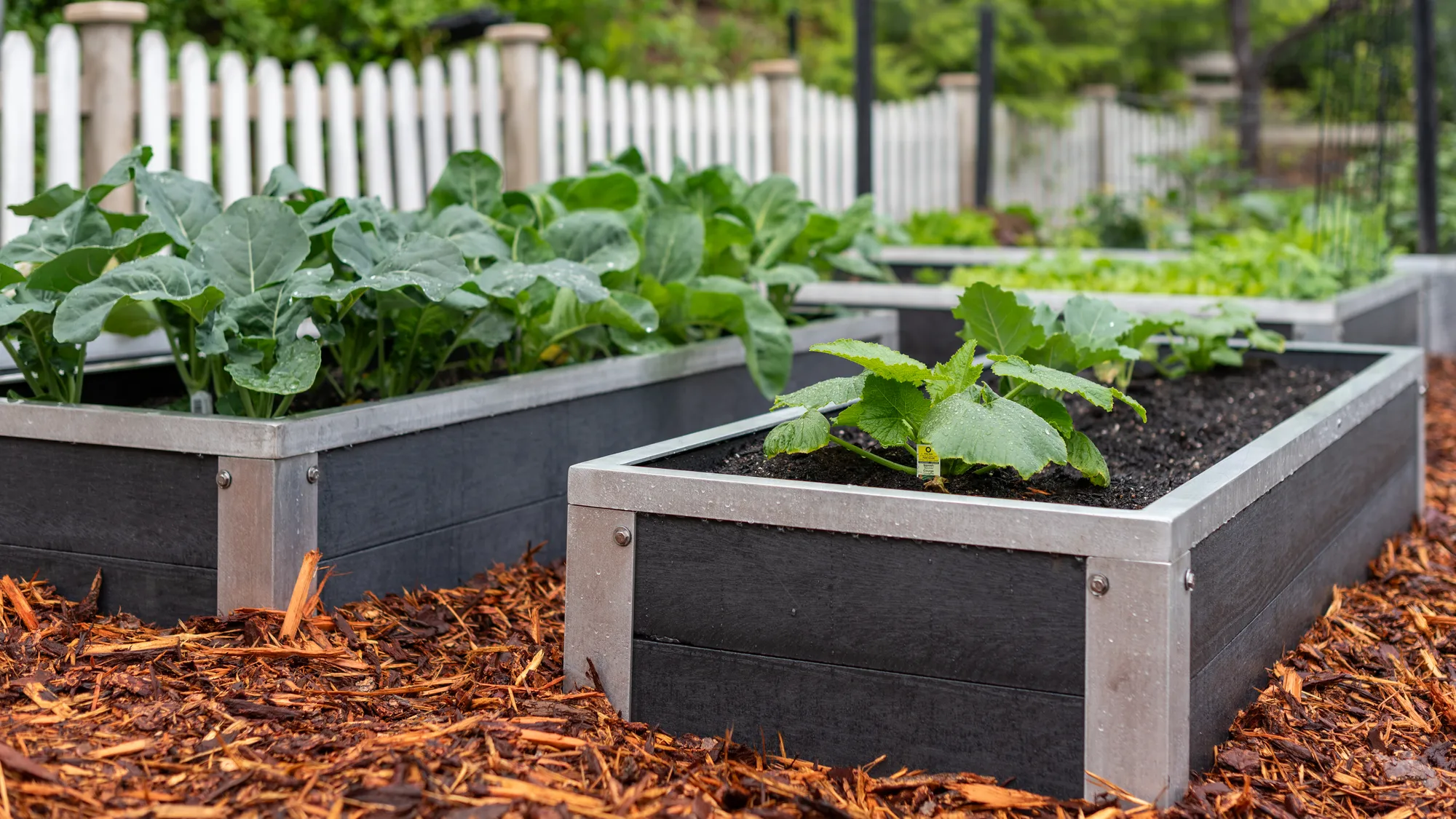 Wishbone Abundance Raised Planter Boxes in West Kelowna, BC