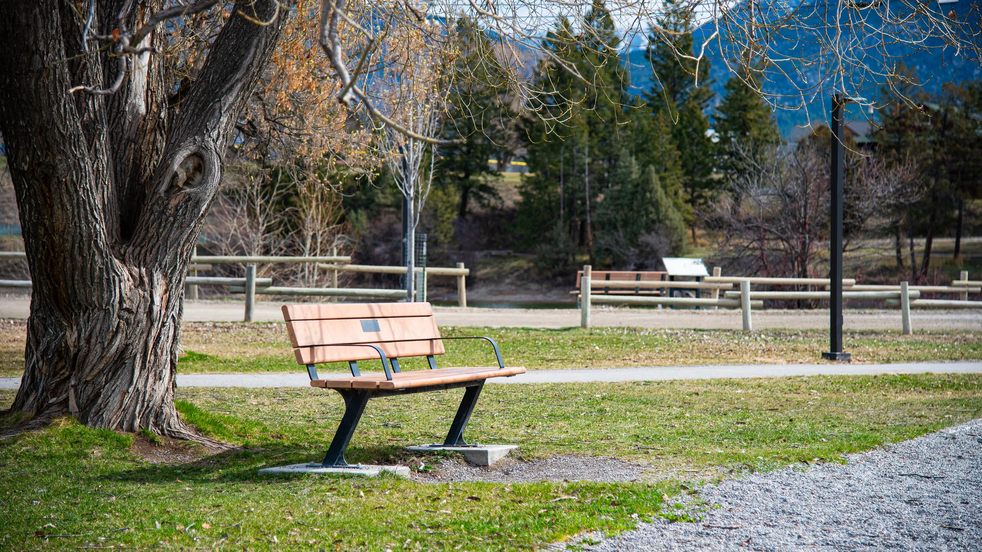 Wishbone Bayview Memorial Bench in Invermere, BC