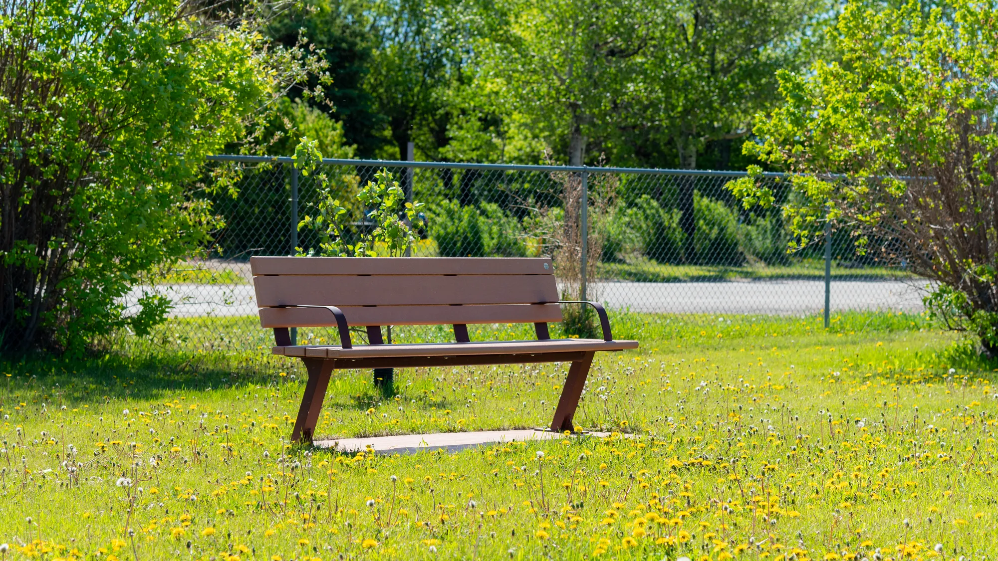 Wishbone Bayview Bench on a Perma-Pad in Pouce Coupe BC