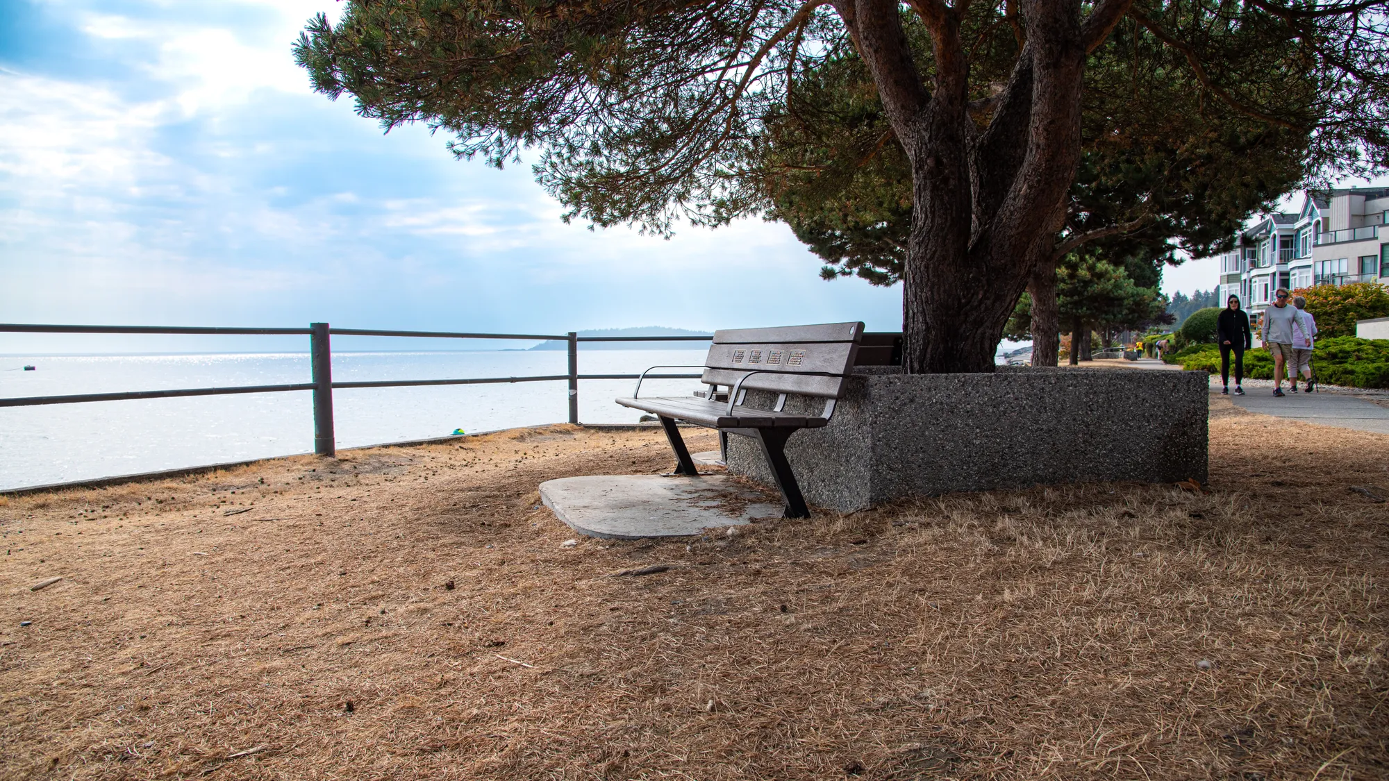 Wishbone Bayview Memorial Bench in Sechelt, BC