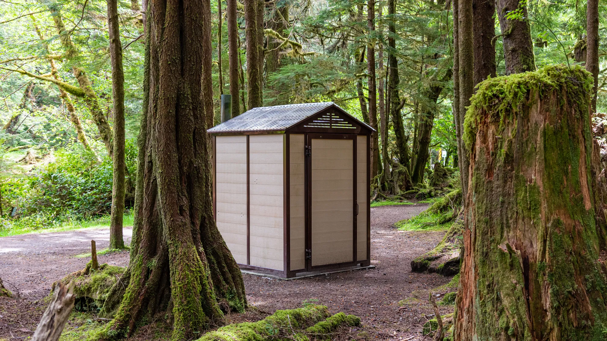 Wishbone John Jumbo Outhouse at Naikoon Provincial Park  in Tlel