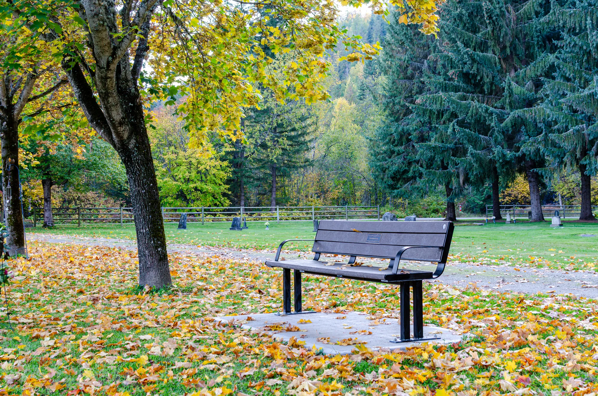 Wishbone Larson Memorial Bench in Sicamous, BC