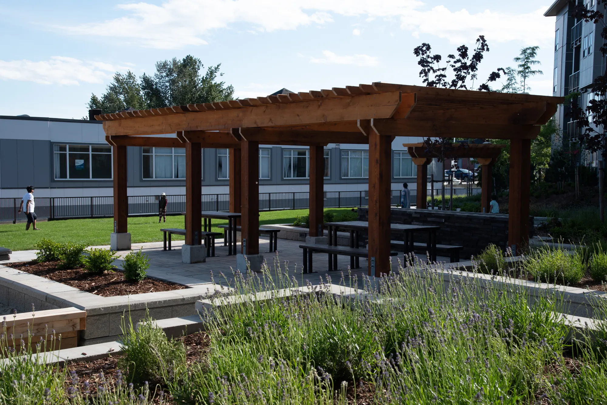 Outdoor picnic tables with black metal frames and wooden tops are arranged under a wooden pergola in a landscaped area. The setting includes a modern building and various plants.
