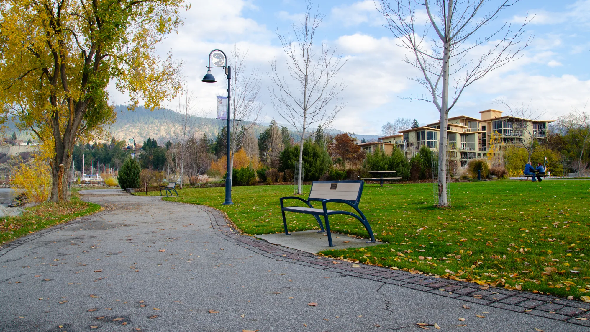 Wishbone Modena Benches installed in 2006
