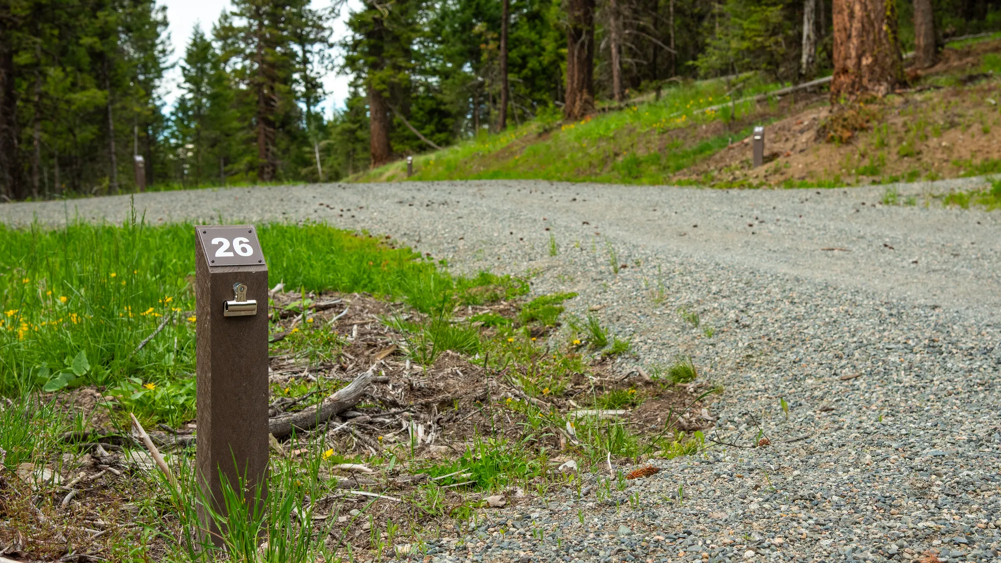 Wishbone Number Posts at Kentucky Alleyne Provincial Park