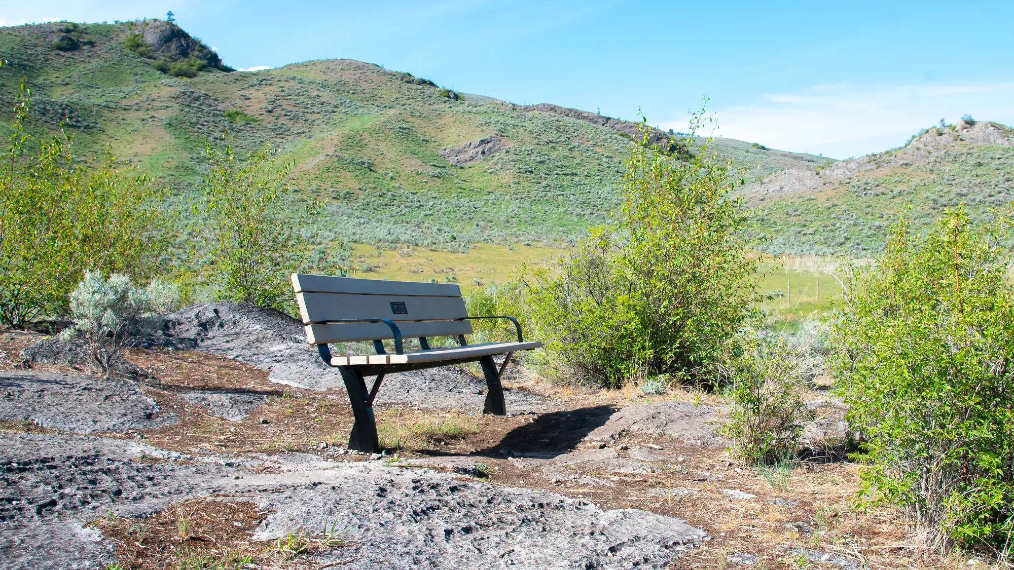 A Parker Bench provides seating in a natural setting with rolling hills in the background. The bench features recycled plastic lumber and a black powder-coated frame.