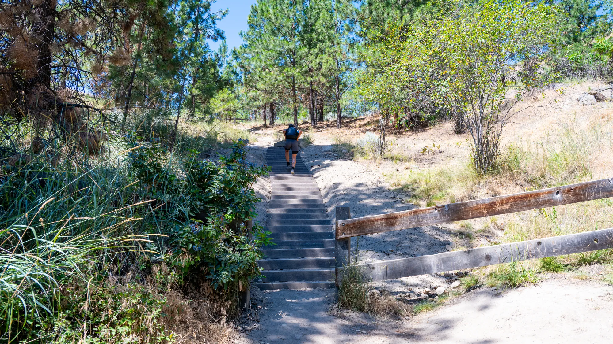 Wishbone Perma-Stepsâ¢ on Knox Mountain in Kelowna, BC