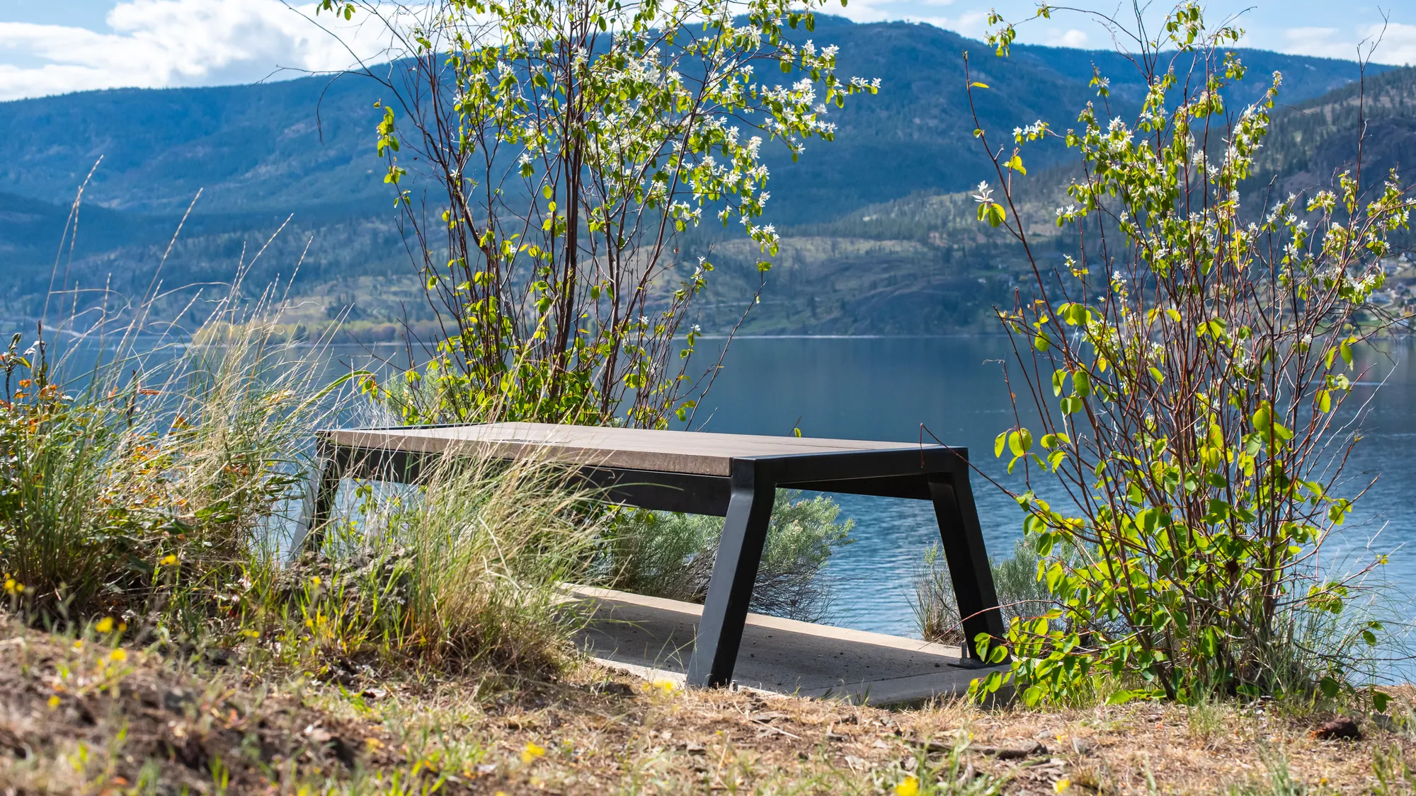 Wishbone Custom Rutherford Backless Bench on the Lochview Trail — ambient loop