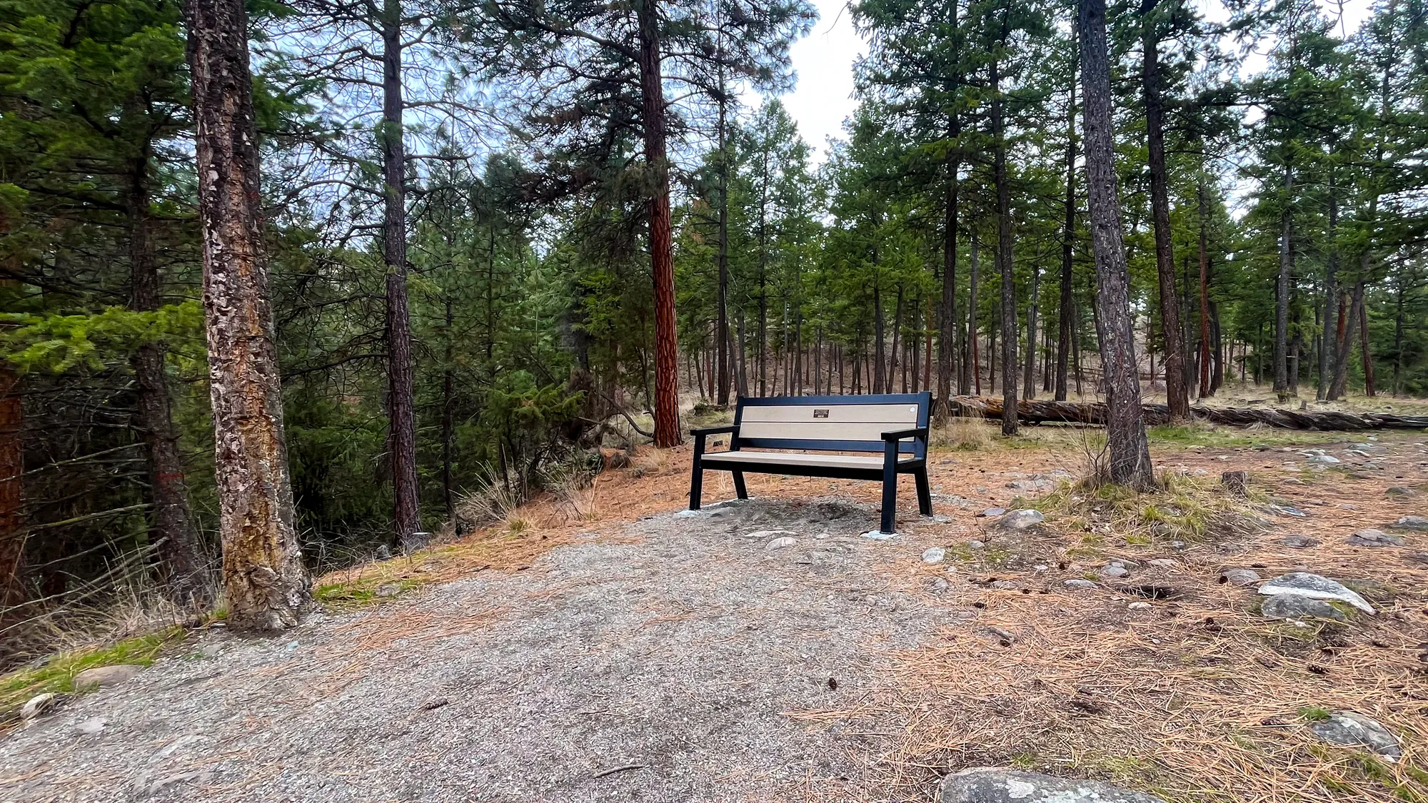 Wishbone Rutherford Memorial Bench for the Regional Distict of t