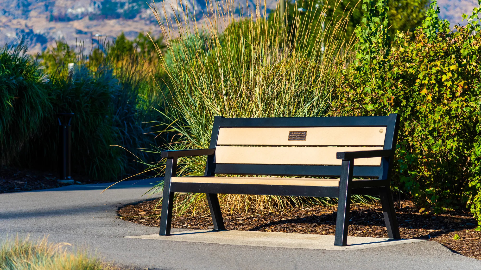 Wishbone Rutherford Memorial Bench in Oliver, BC