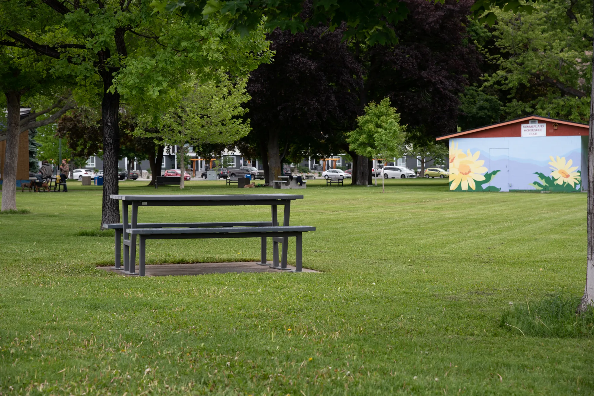 A Rutherford Picnic Table sits on a grassy lawn in a park setting. This durable table provides a comfortable space for outdoor dining and relaxation.