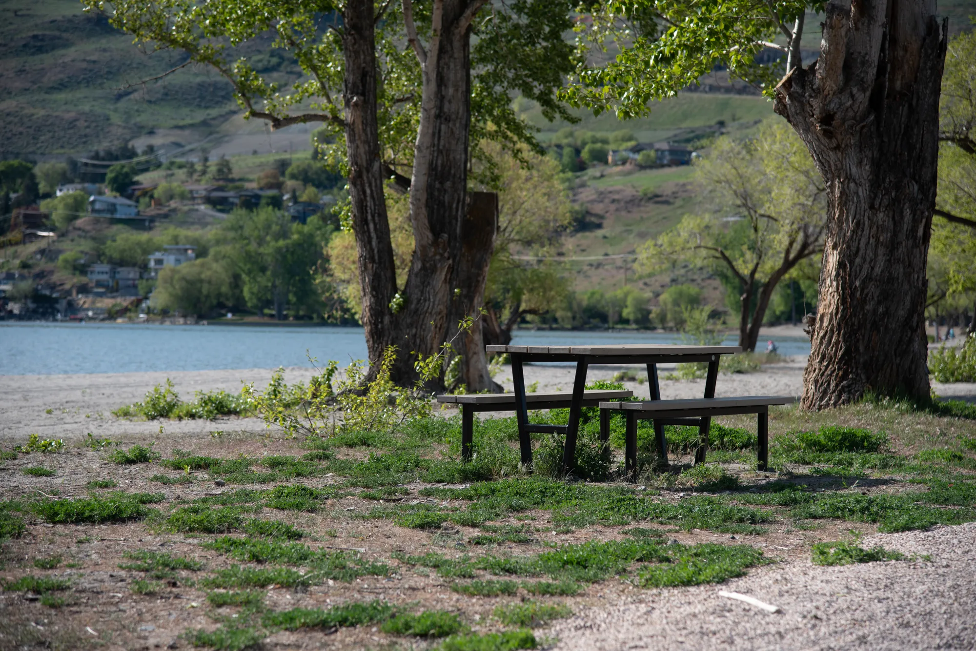 A Rutherford picnic table sits on a grassy area near a sandy beach and lake. The table features a dark frame and light-colored recycled plastic lumber.