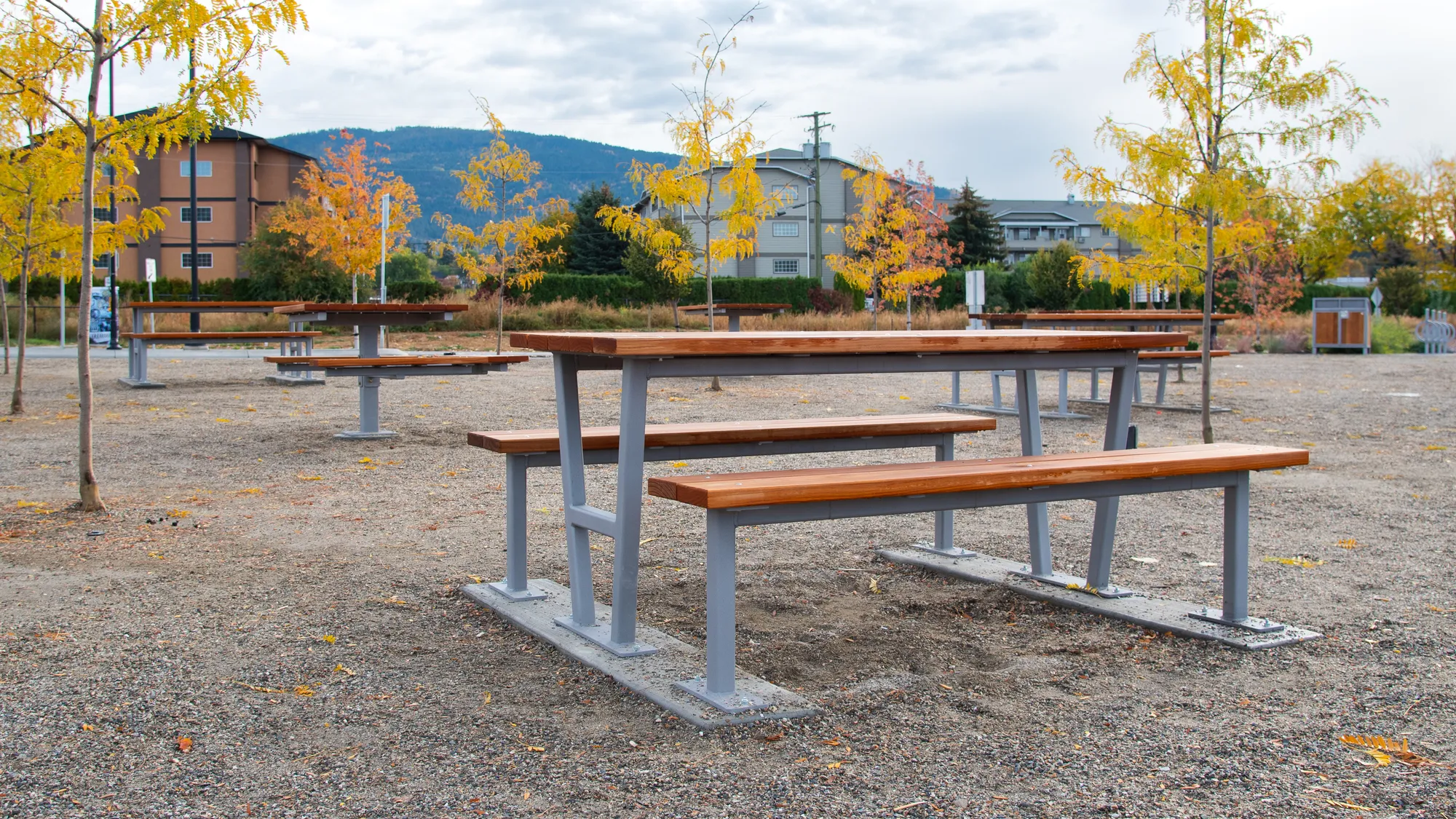 Wishbone Rutherford Commercial Picnic Table using Modified Pine
