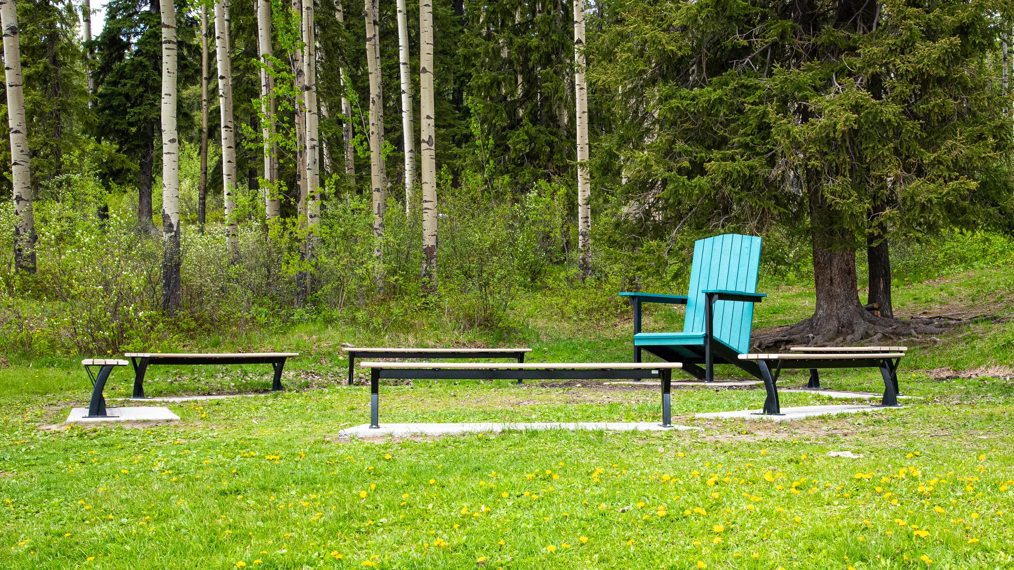 Wishbone Giant Adirondack Chair at Vanway Elementary School in P