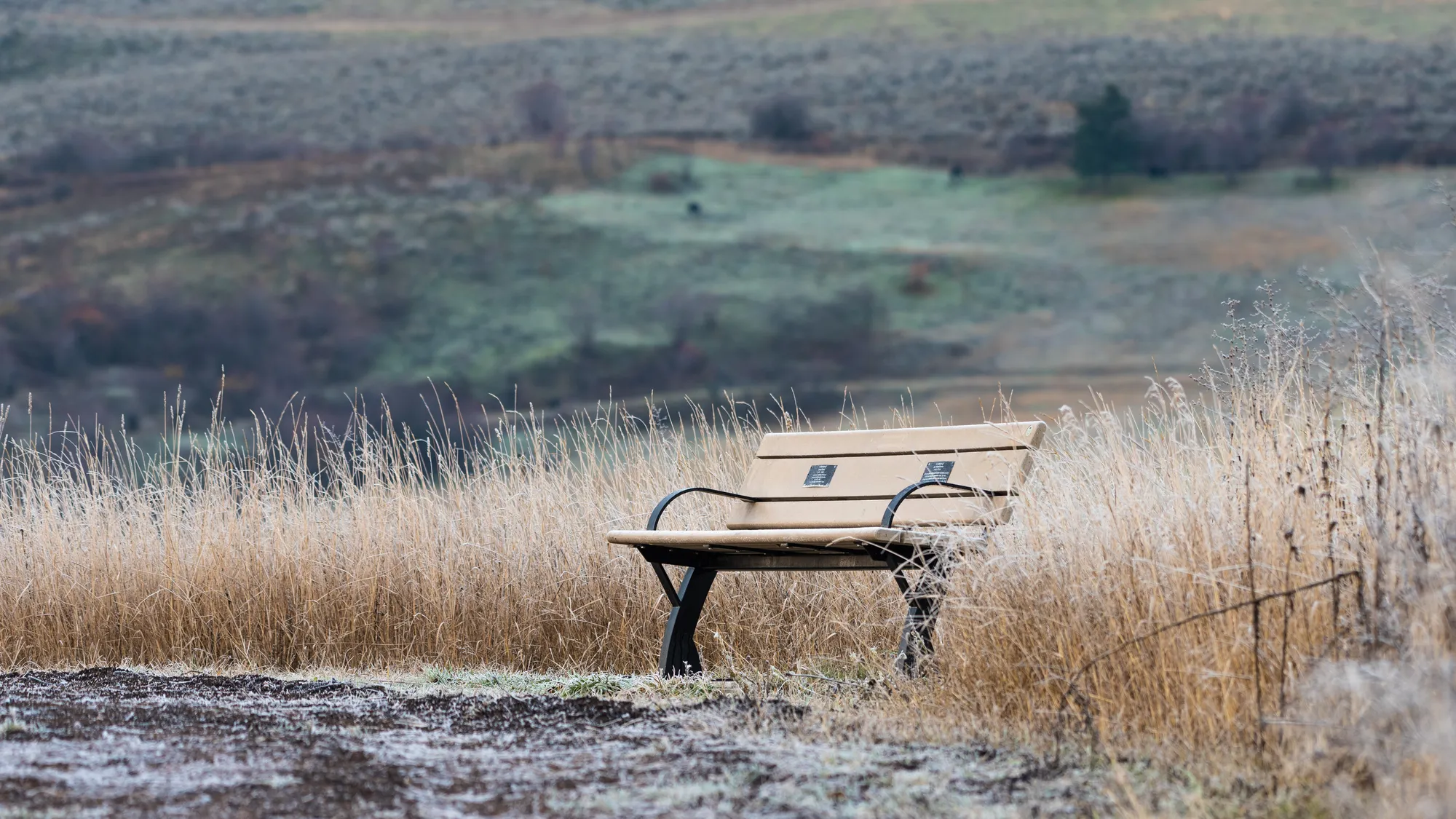 Wishbone Parker Memorial Bench in Vernon, BC