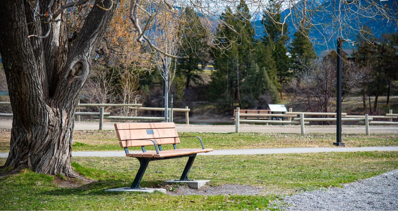 A Bayview bench sits on a grassy area in a park setting, with a walking path and wooden fence in the background. The bench features a redwood recycled plastic lumber seat and black powder-coated metal frame.
