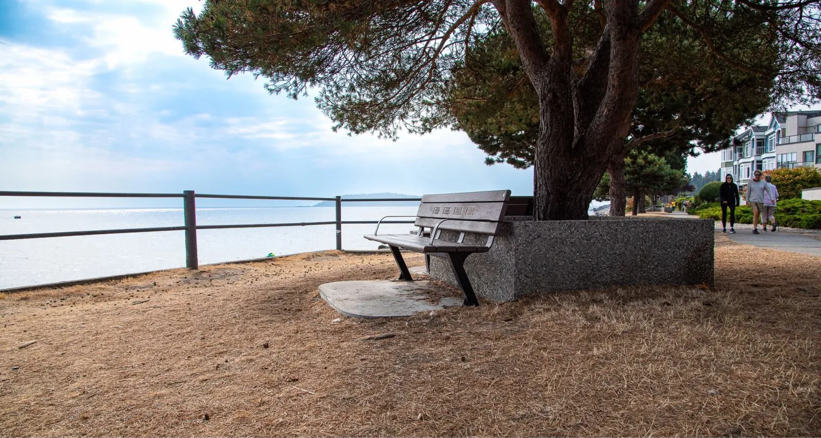 Bayview bench with recycled plastic lumber and black powder-coated metal frame, installed along a waterfront path. The bench offers a place to rest and enjoy the scenic view of the water.