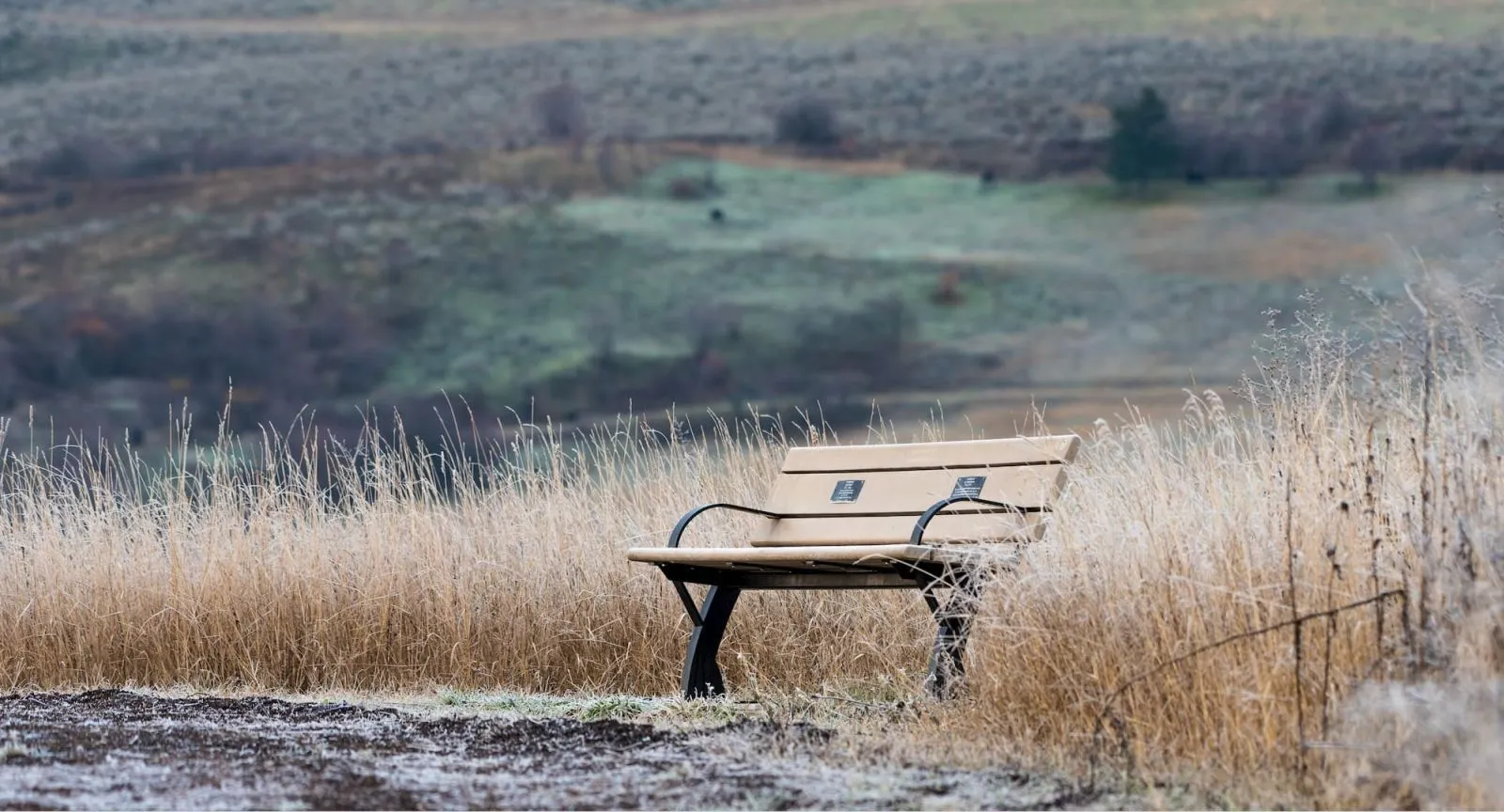 A Parker Memorial Bench sits on a hilltop overlooking the Swan Lake Nature Reserve near Vernon, British Columbia. The bench provides a place to rest and enjoy the view of the surrounding landscape.