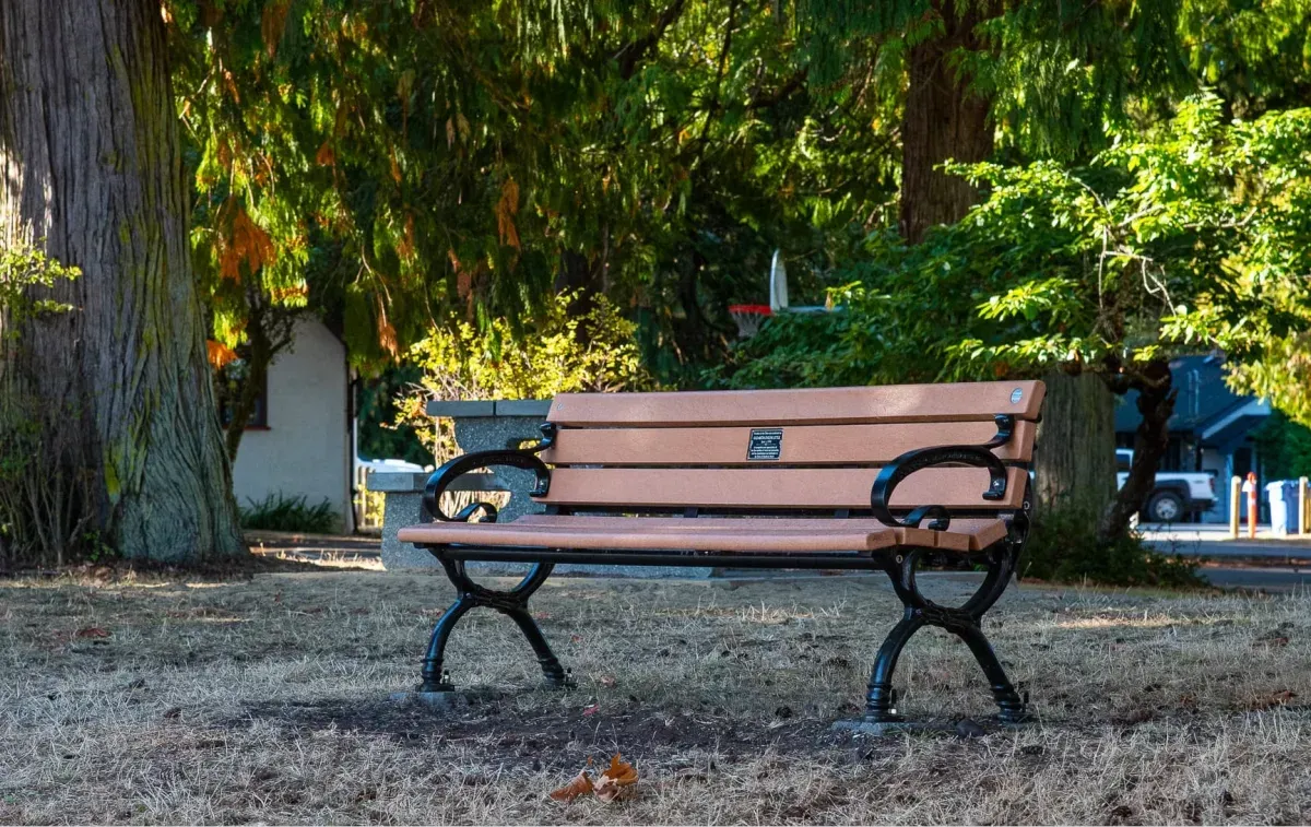 Classic bench with black powder-coated frame and redwood recycled plastic lumber slats, installed in a park setting. The bench provides a place to rest and enjoy the surrounding greenery.
