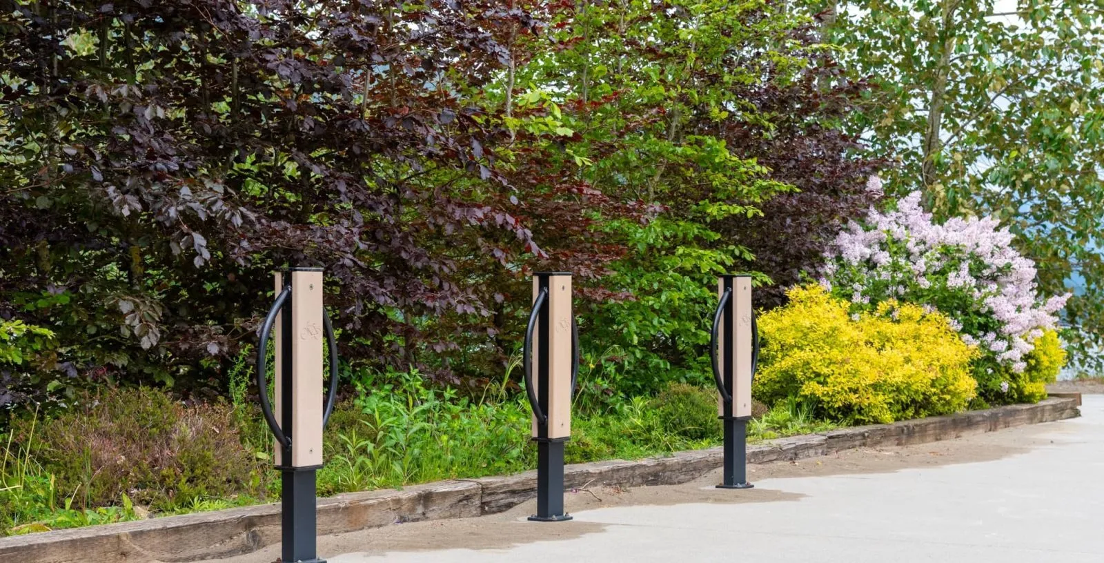 Three Modena 2 Space Bike Racks stand in a row along a paved path, providing convenient and secure bicycle parking. The bike racks feature a light-colored recycled plastic lumber accent and a black powder-coated frame, blending with the natural surroundings of lush greenery and flowering bushes in Harrison Hot Springs, British Columbia.
