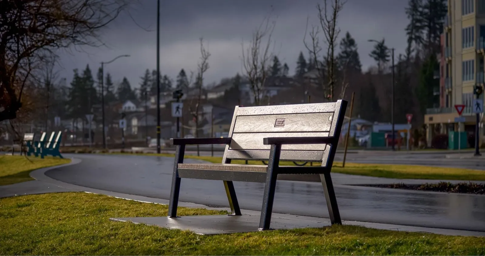 Rutherford Angled Leg Memorial Bench provides comfortable seating in a park setting. The bench features recycled plastic lumber and a powder-coated metal frame.