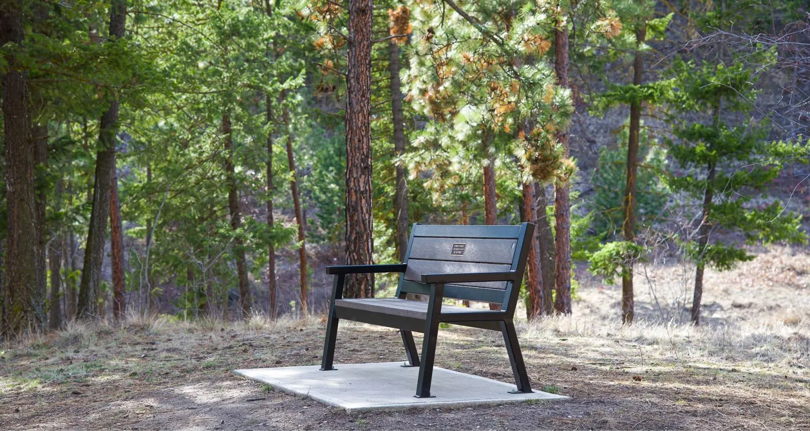 Rutherford Memorial Bench with armrests, made with recycled plastic lumber and a black powder-coated frame, installed on a concrete pad in a wooded park setting.