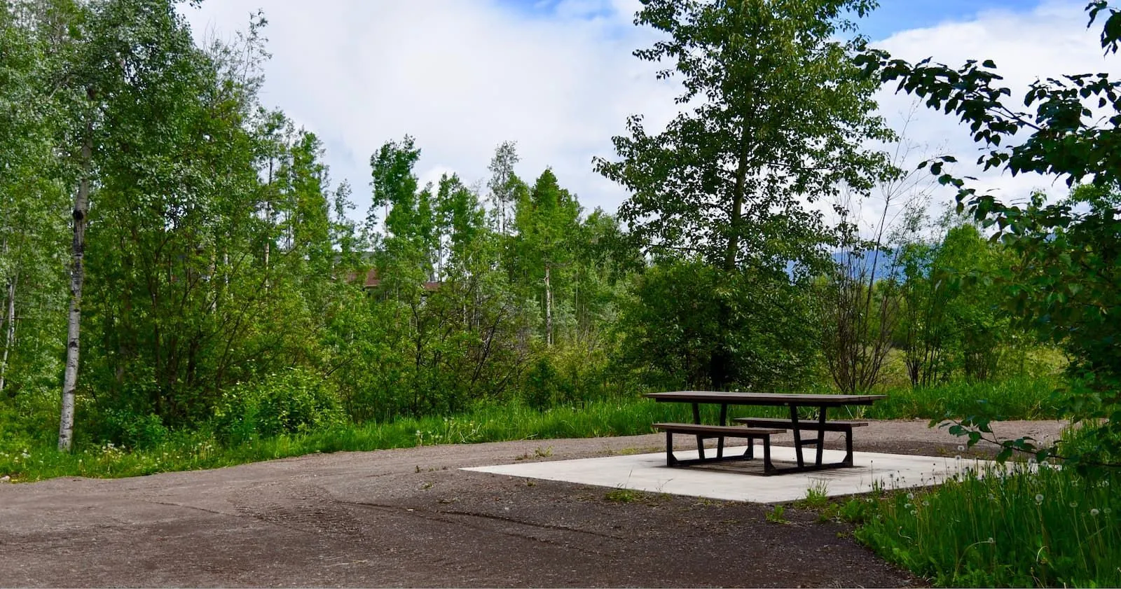 A Rutherford picnic table sits on a concrete pad in a park-like setting surrounded by trees. This accessible table provides a comfortable and durable outdoor seating solution.
