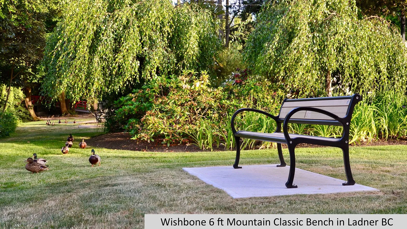 A Mountain Classic bench provides seating in a lush park setting, surrounded by greenery and a small group of ducks. The bench features recycled plastic lumber and a powder-coated metal frame.