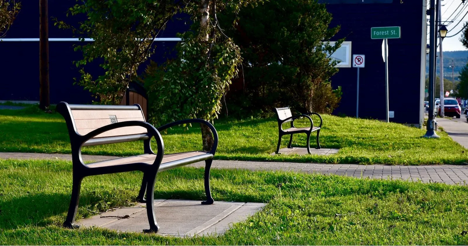Two benches sit on a grassy area next to a sidewalk. These benches offer a place to rest along Forest Street.