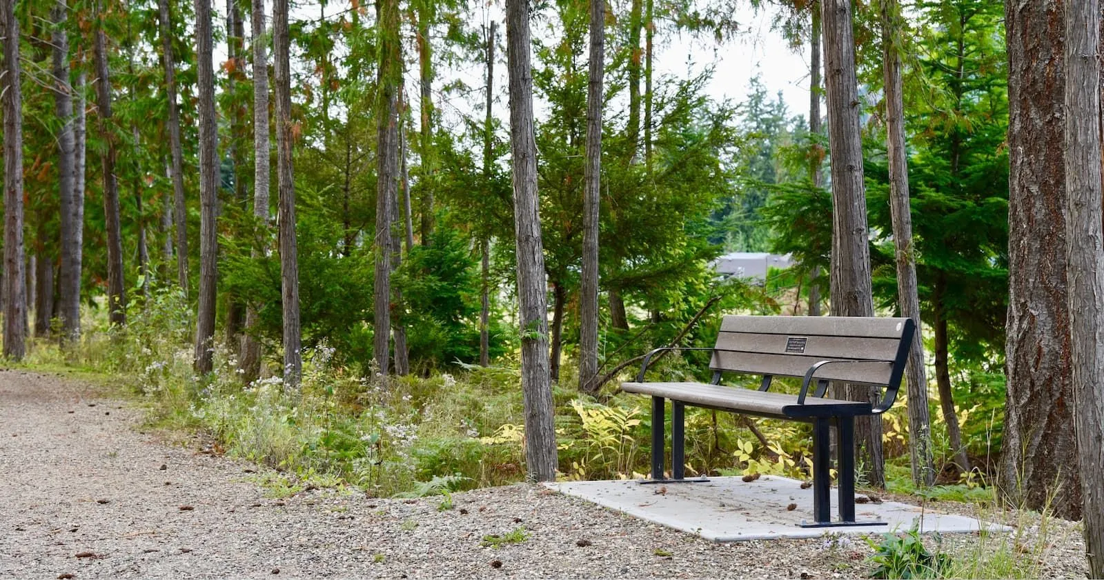 A Larson bench with armrests sits along a gravel path in a wooded area. The bench features recycled plastic lumber and a black powder-coated frame.