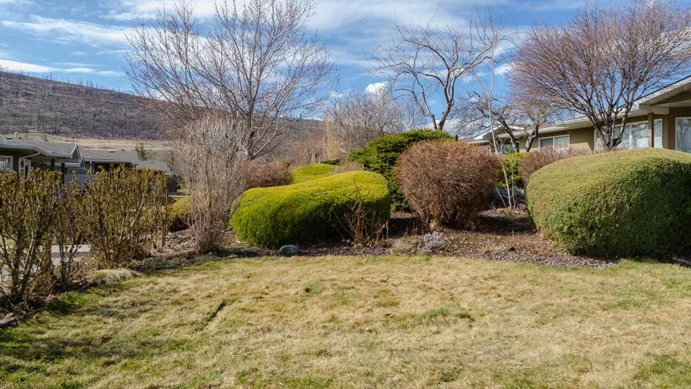 A well-maintained lawn and garden area featuring trimmed hedges and trees. The landscape is set against a backdrop of residential buildings and a distant hillside.