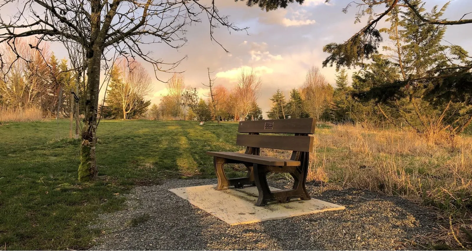 A classic bench provides seating in a tranquil park setting, surrounded by trees and greenery. The bench is set on a concrete pad along a gravel path.
