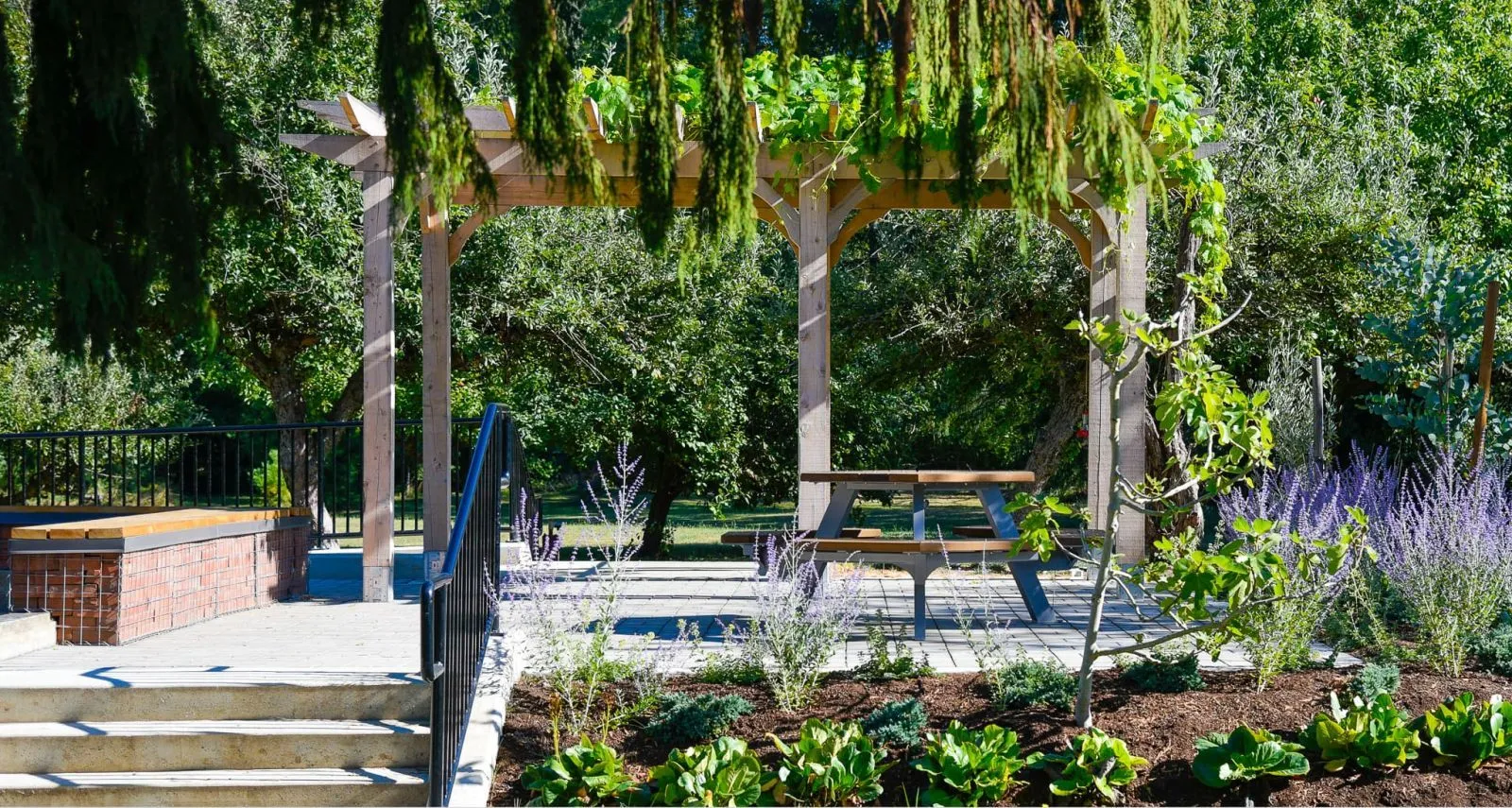 Bayview Hexagonal Picnic Table in a landscaped park setting. The table features a metal frame and cedar lumber.