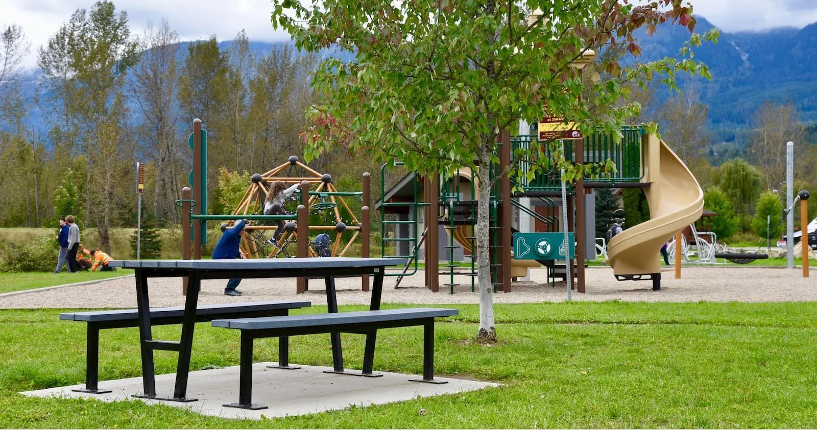 Rutherford picnic table in a park setting, providing a place for people to gather and enjoy the outdoors. The picnic table features a black frame and grey recycled plastic lumber.