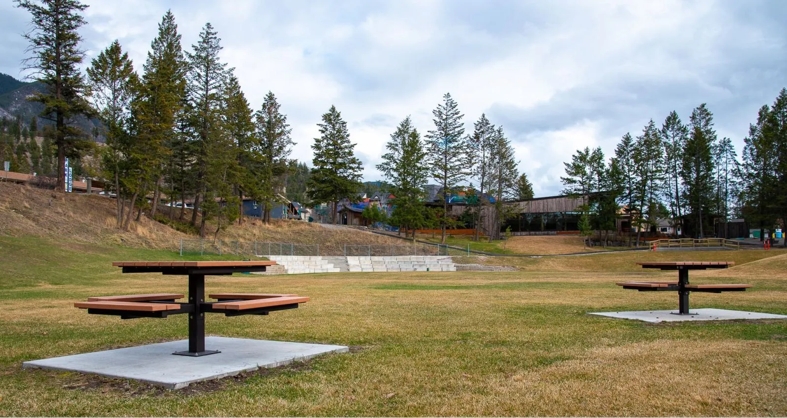 Two single pedestal picnic tables sit on concrete pads in a grassy park setting. The tables feature recycled plastic lumber tops and seats with a black powder-coated pedestal.