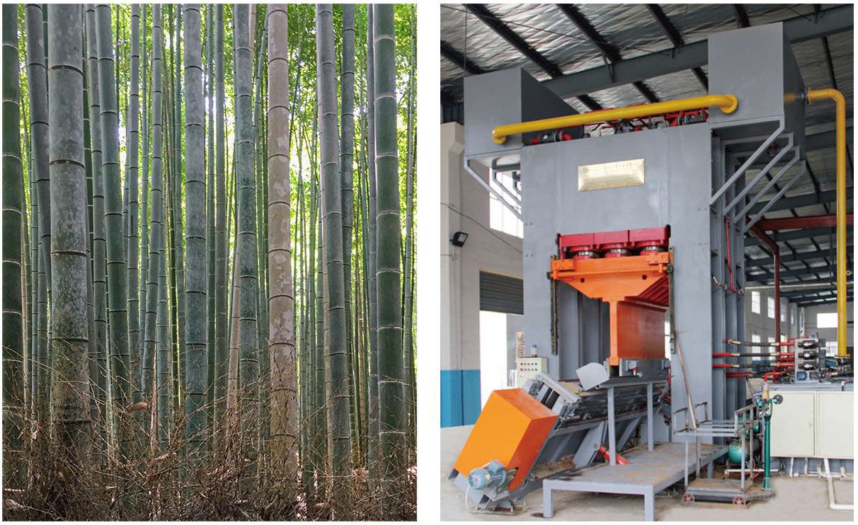 Hardened Bamboo