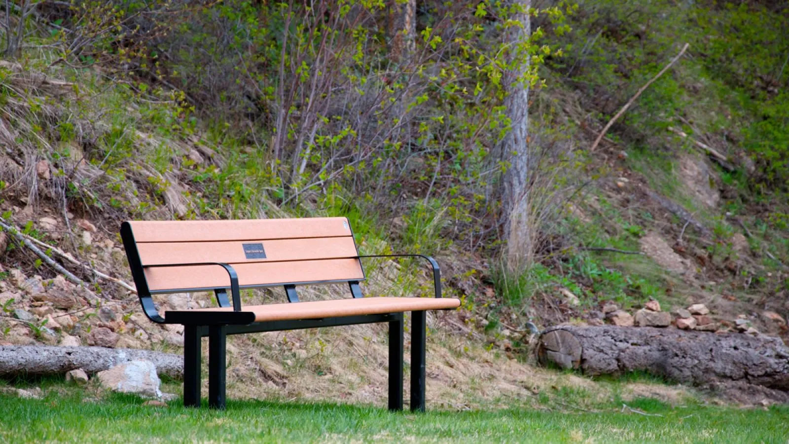Larson bench with direct burial legs provides comfortable seating in a natural setting. The bench features recycled plastic lumber slats and a durable powder-coated metal frame.