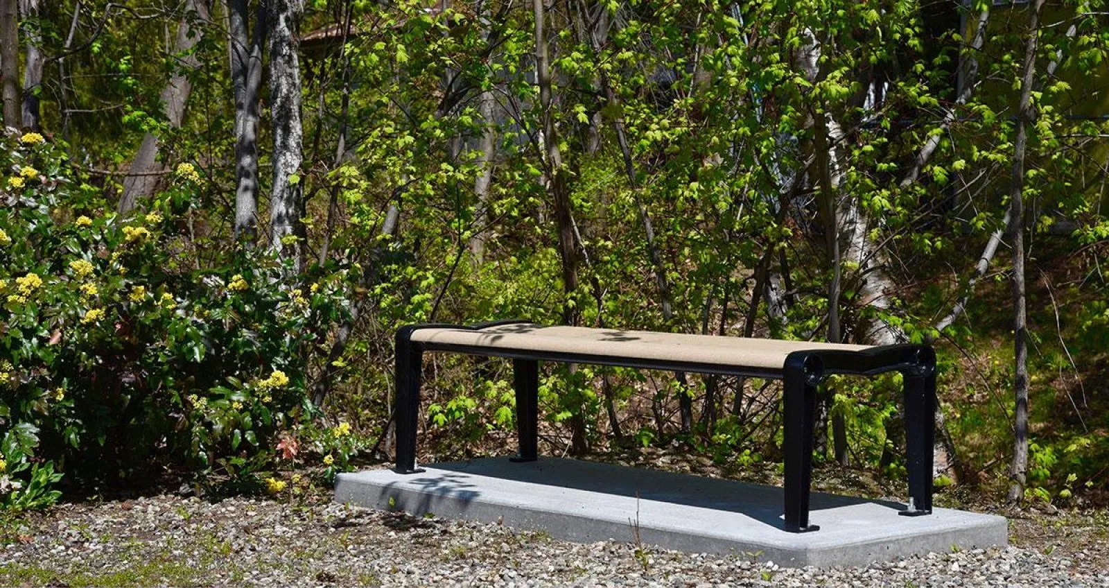A simple straight bench provides seating in a natural setting. The bench features a light-colored recycled plastic lumber seat and a black powder-coated metal frame.