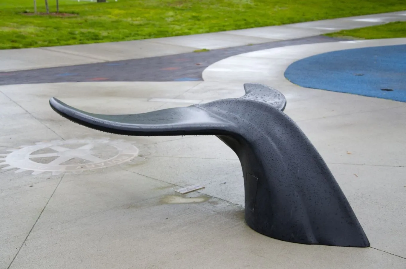 A Whale Tail Bench provides unique seating in a park setting. The bench is made of powder-coated aluminum.