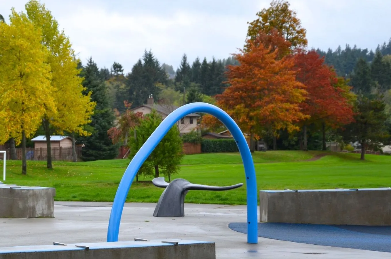 A Whale Tail Bench is featured in a park setting with colorful fall foliage. The bench is powder-coated in a bright blue, adding a pop of color to the natural landscape.