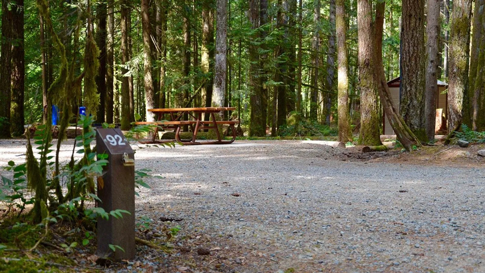 A campsite features a picnic table and a number post. The site is located in a forest setting.