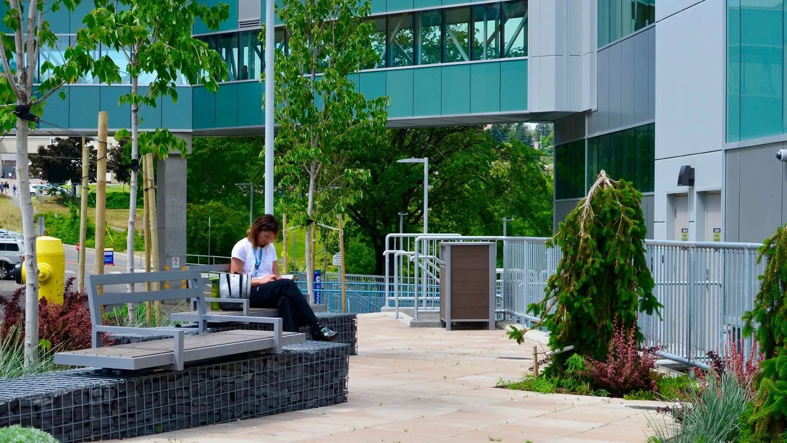 Skyline benches with gabion bases provide seating at Royal Inland Hospital in Kamloops, British Columbia. The benches feature a metal frame and recycled plastic lumber.