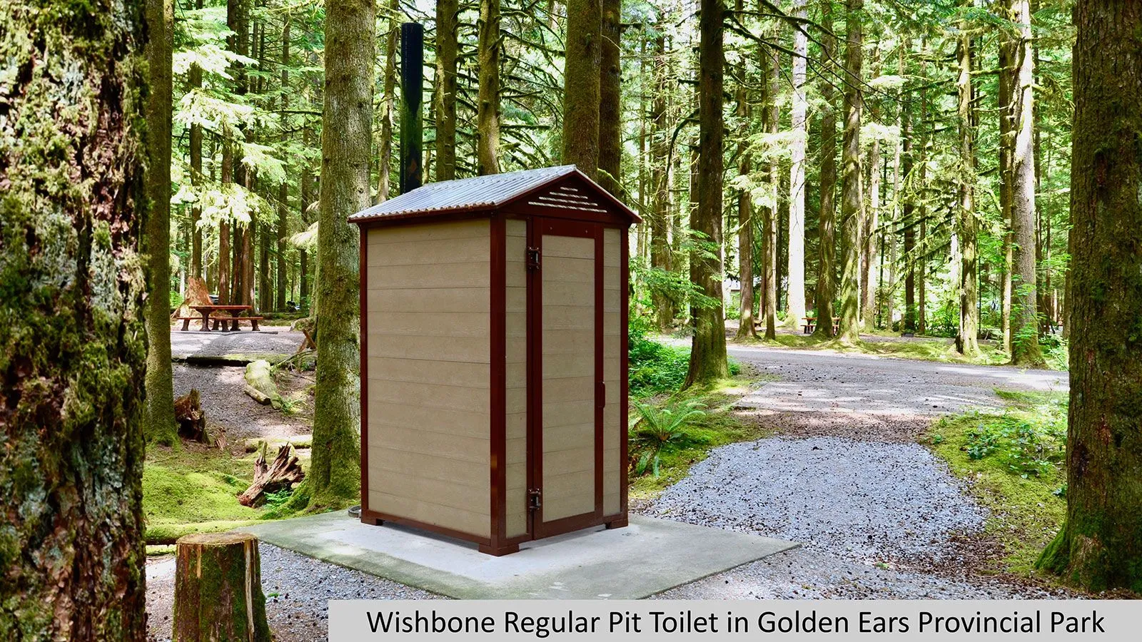 Regular pit toilet building in a wooded area. The structure features recycled plastic lumber and a metal roof.